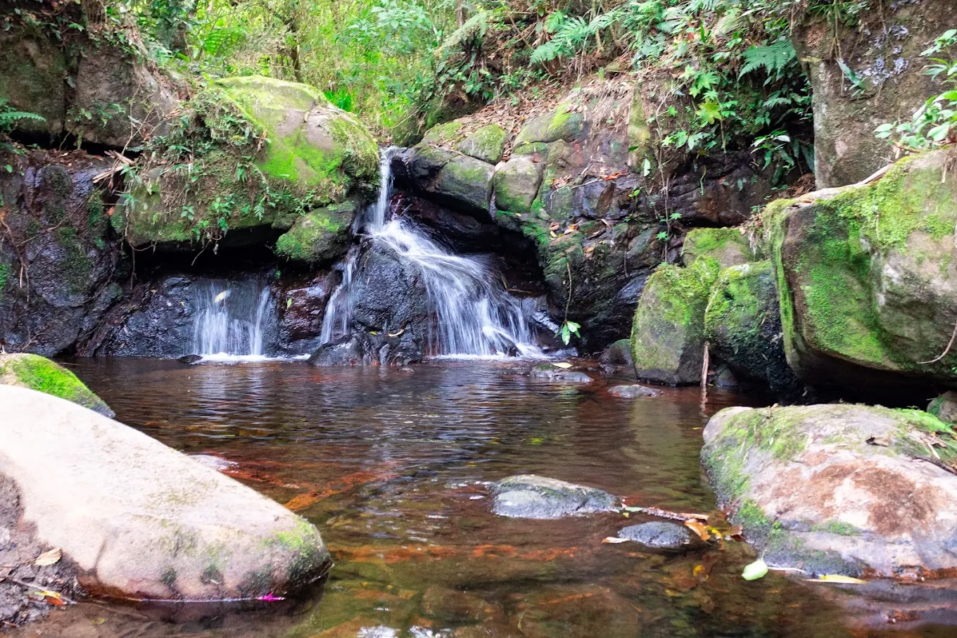 Cachoerira das Bromelias