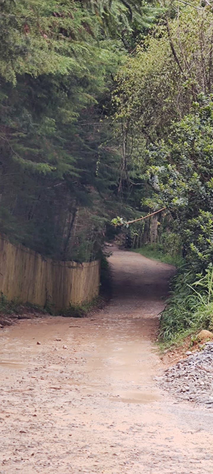 Caminho da Pedra da Macela