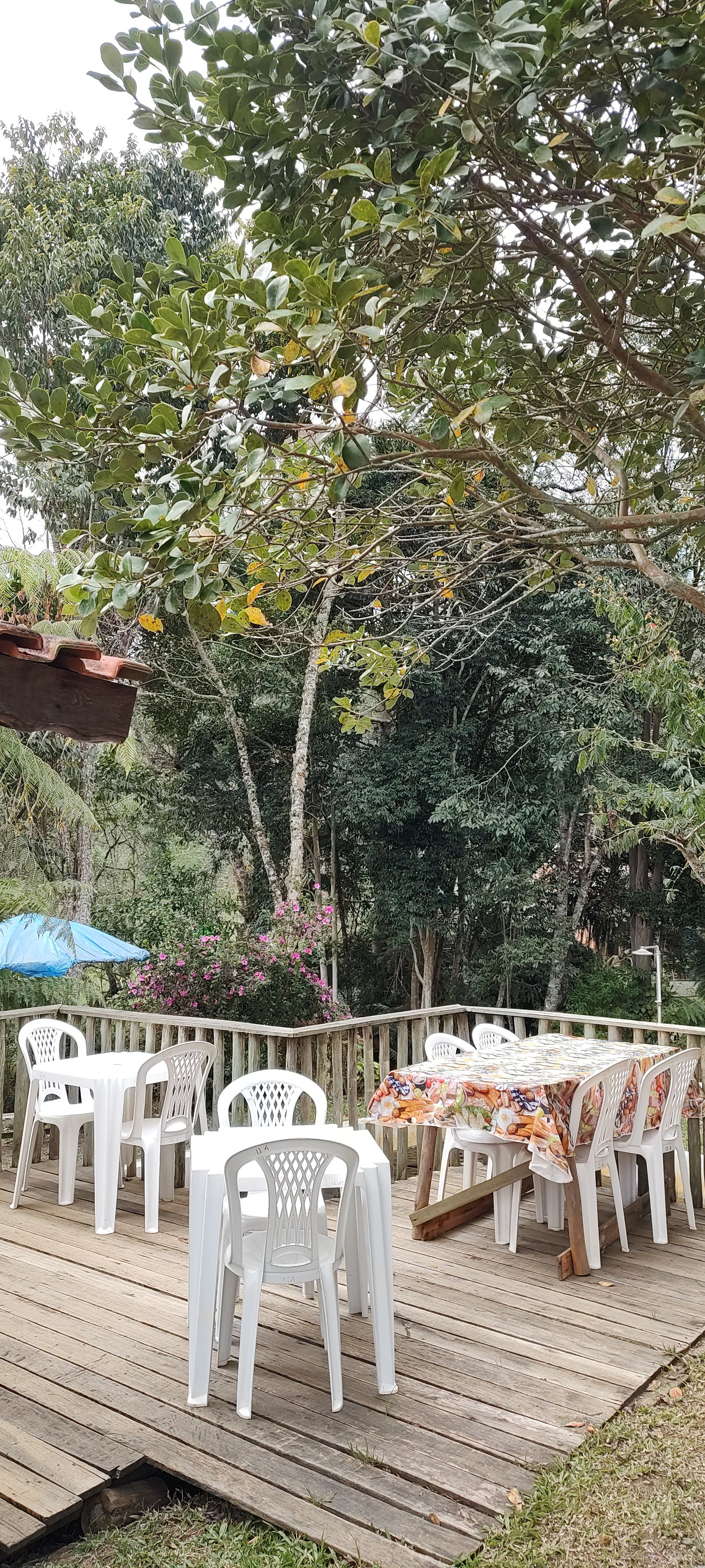 Deck de madeira cercado pela natureza no Restaurante Grilo Caiçara