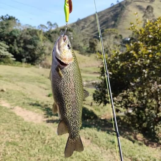 Pesqueiro e Restaurante Rio Manso