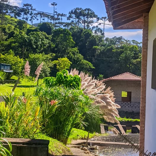 Pesqueiro e Restaurante Rio Manso